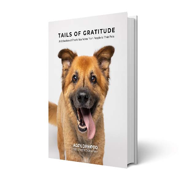 Tails of Gratitude Coffee Table Book Cover