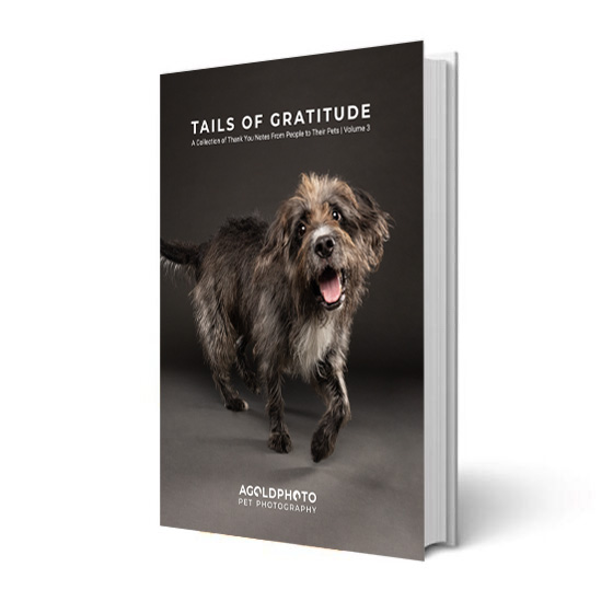 Tails of Gratitude Volume 3
