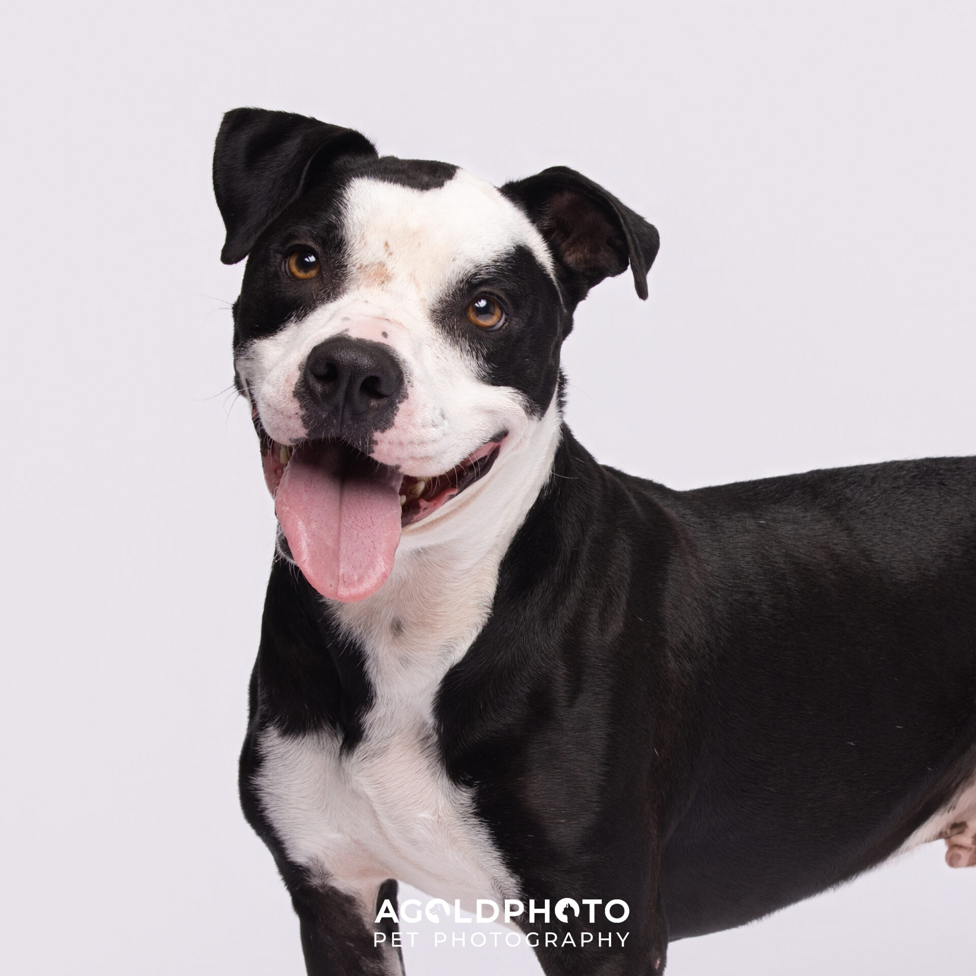 Splash's Second Shot