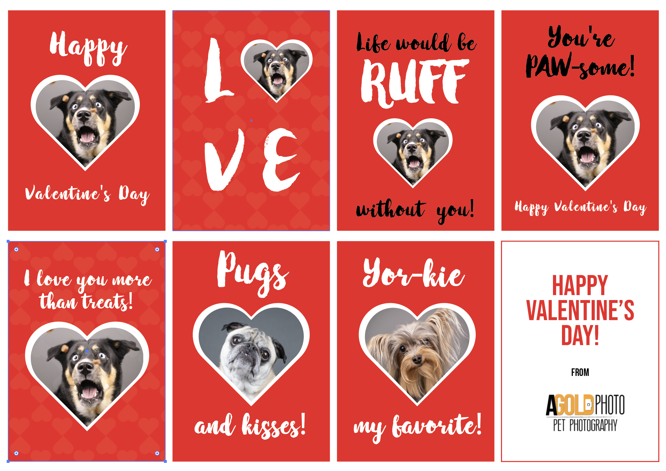 Free Pet Valentine's Day Cards AGoldPhoto Pet Photography