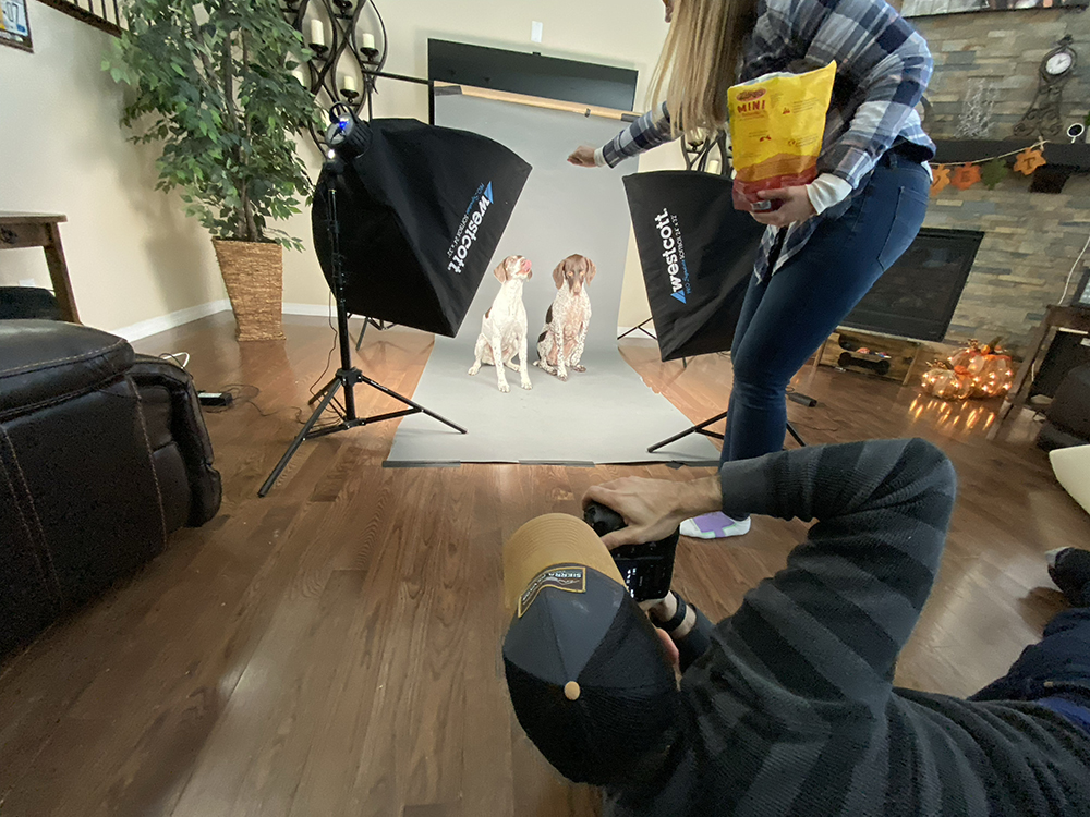 studio-pet-photography-agoldphoto-pet-photography