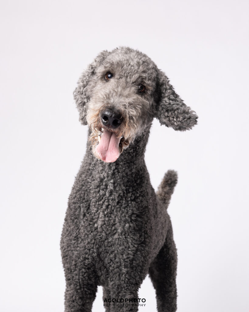 Edit_C02A0605_8x10-Social