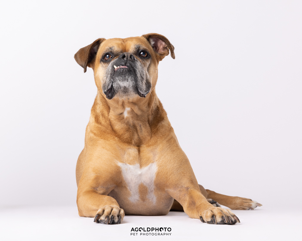 Edit_C02A0914_Crop_8x10-Social