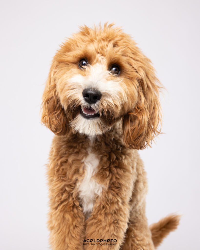 Edit_C02A0968_8x10-Social