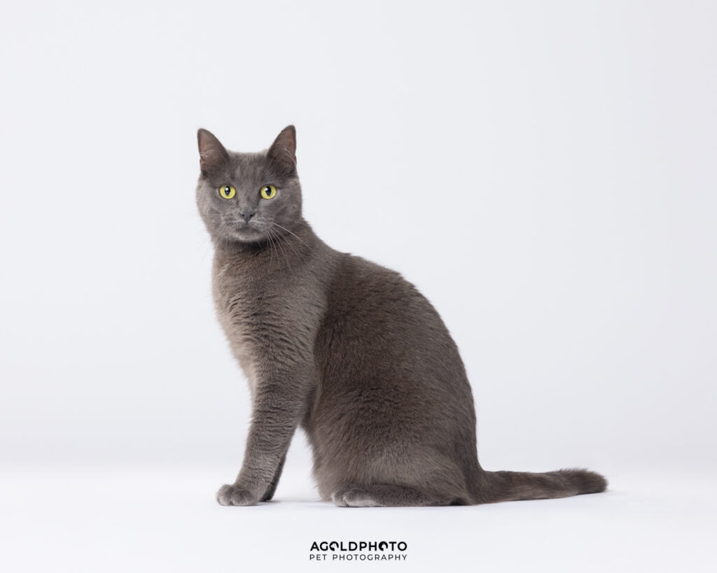 Edit_C02A1460-Social