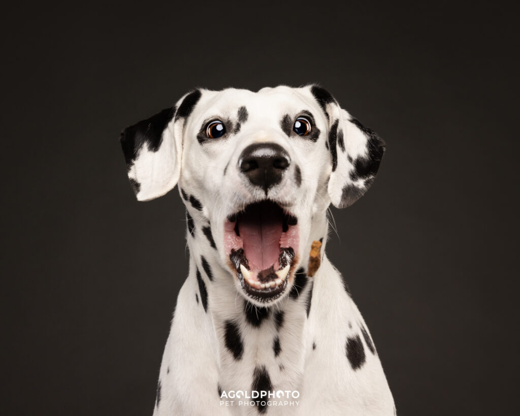 Edit_C02A2287-Social