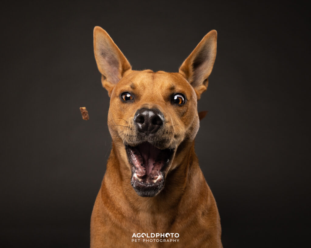 Edit_C02A2362-Social