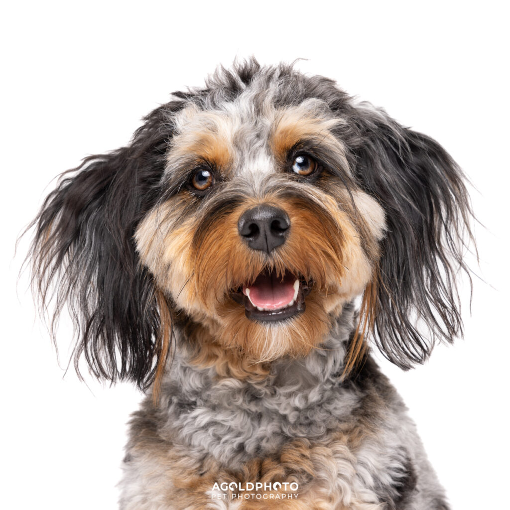 Edit_C02A2612_10x10_Acrylic-social