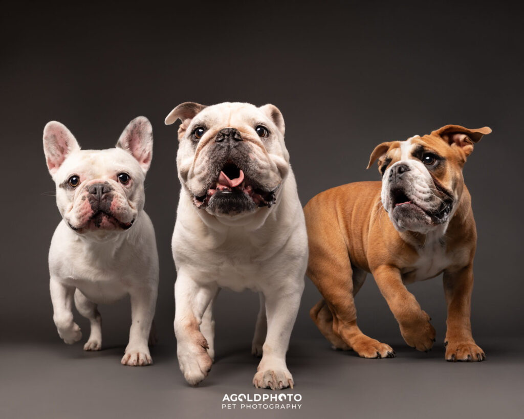 Edit_C02A2866-2958-3053_20x16-Social