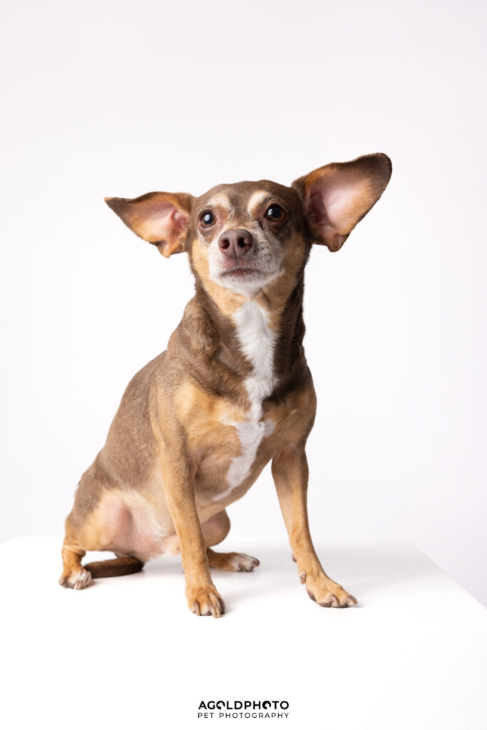 Edit_C02A4062_Album-Social