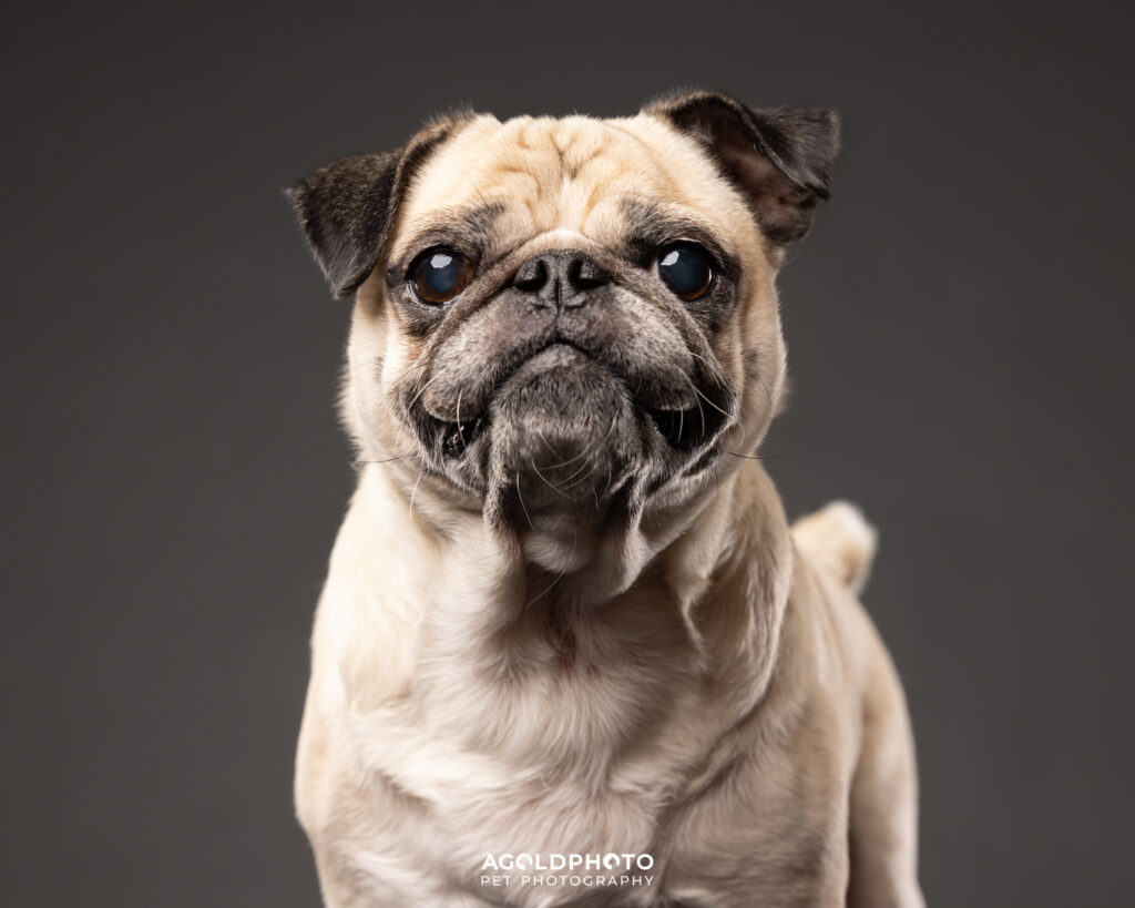 Edit_C02A4584_8x10-2-Social