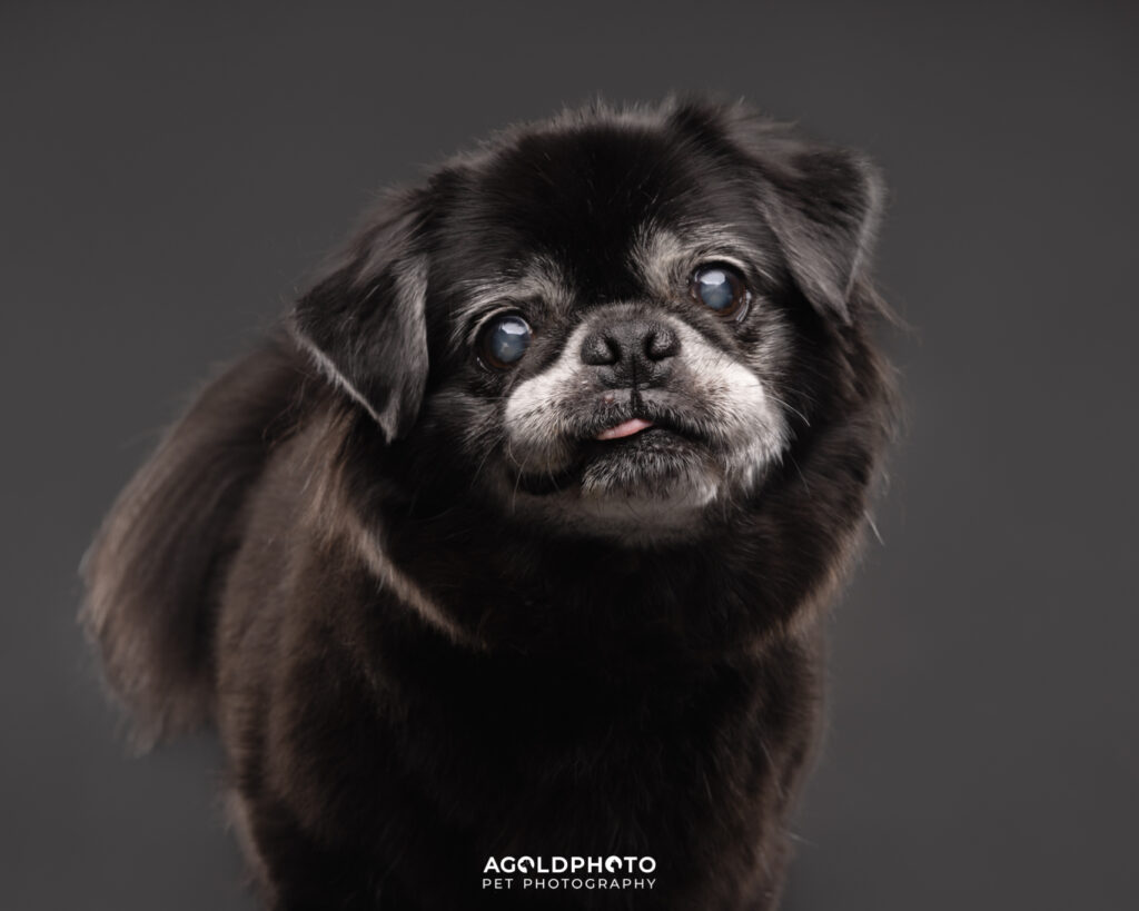 Edit_C02A4742_8x10-2-Social