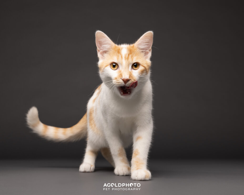 Edit_C02A5658_8x10-social