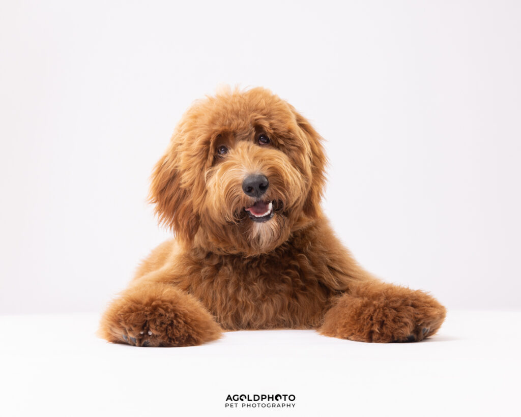 Edit_C02A6792-Social