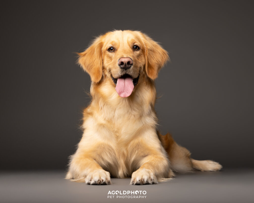 Edit_C02A8918_8x10-Social