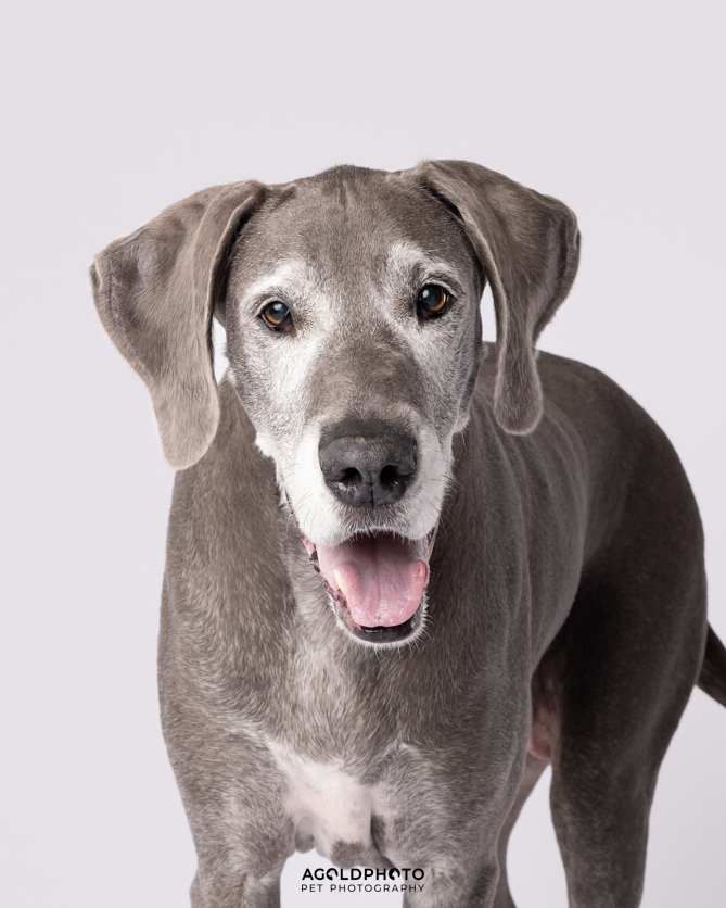 Edit_C02A9530-Social