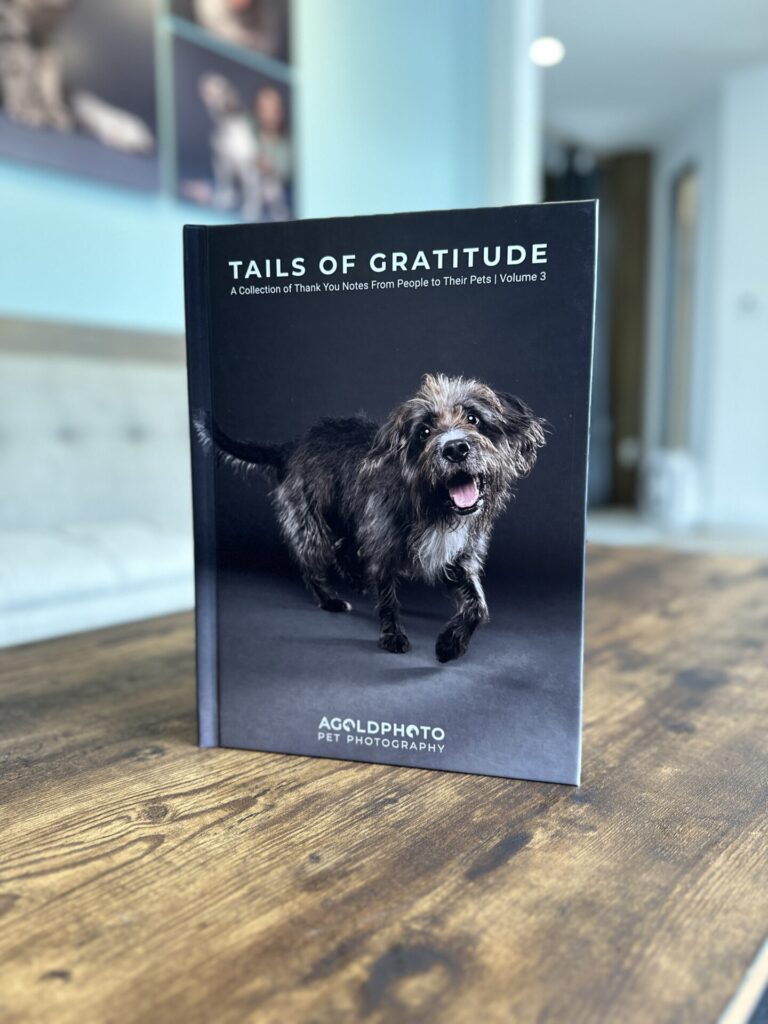 Tails of Gratitude Volume 3