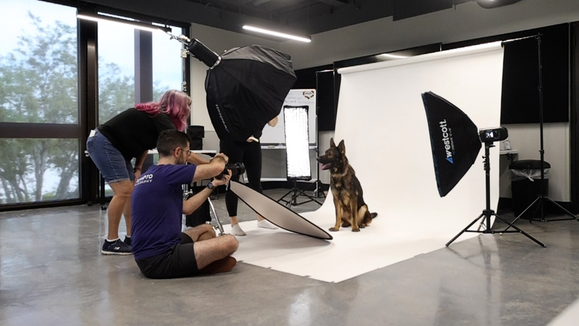 Studio Pet Photography Course