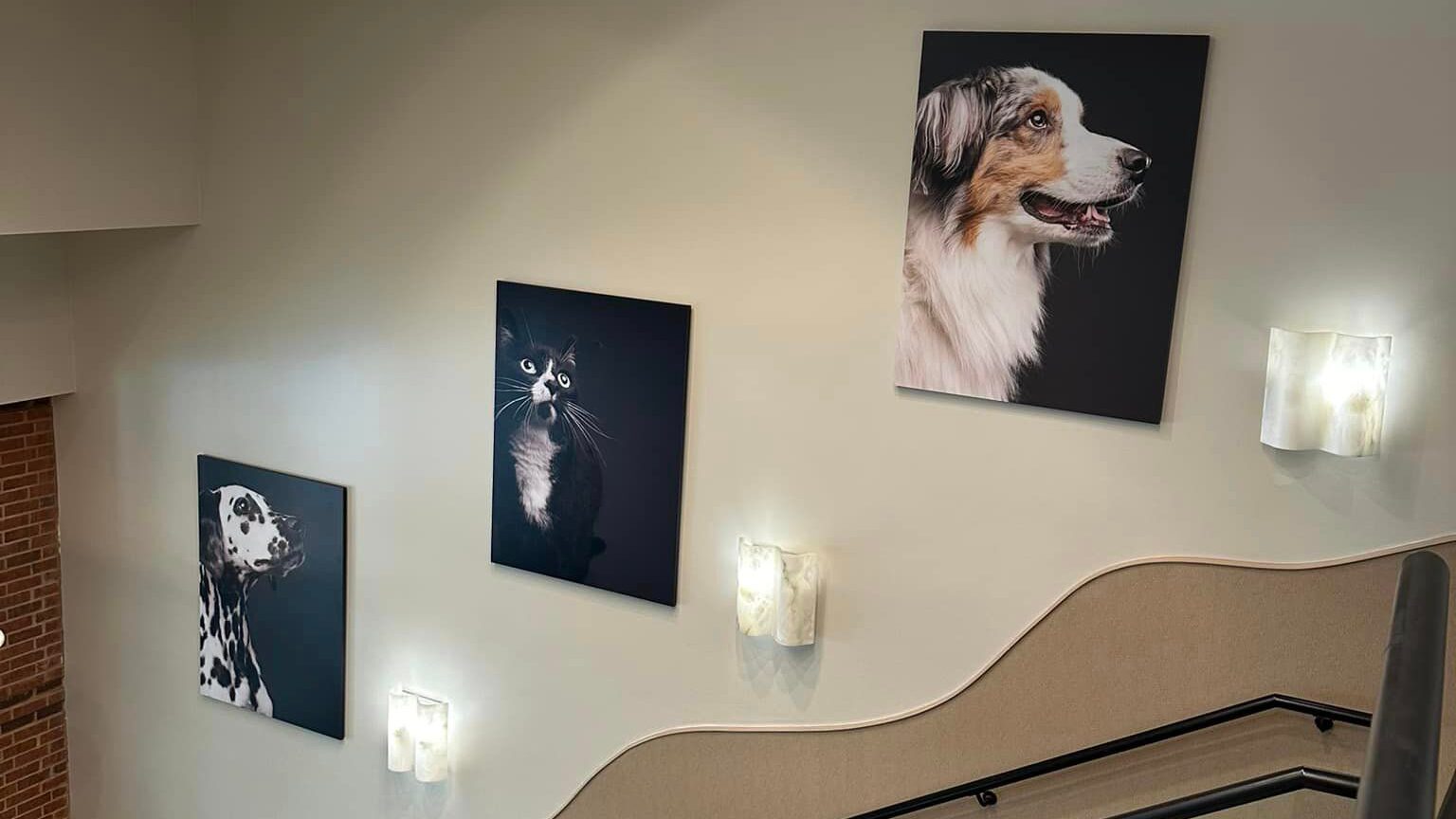 AGoldPhoto Pet Photography Custom Artwork Dawns the Walls of Atlanta Veterinary Hospital