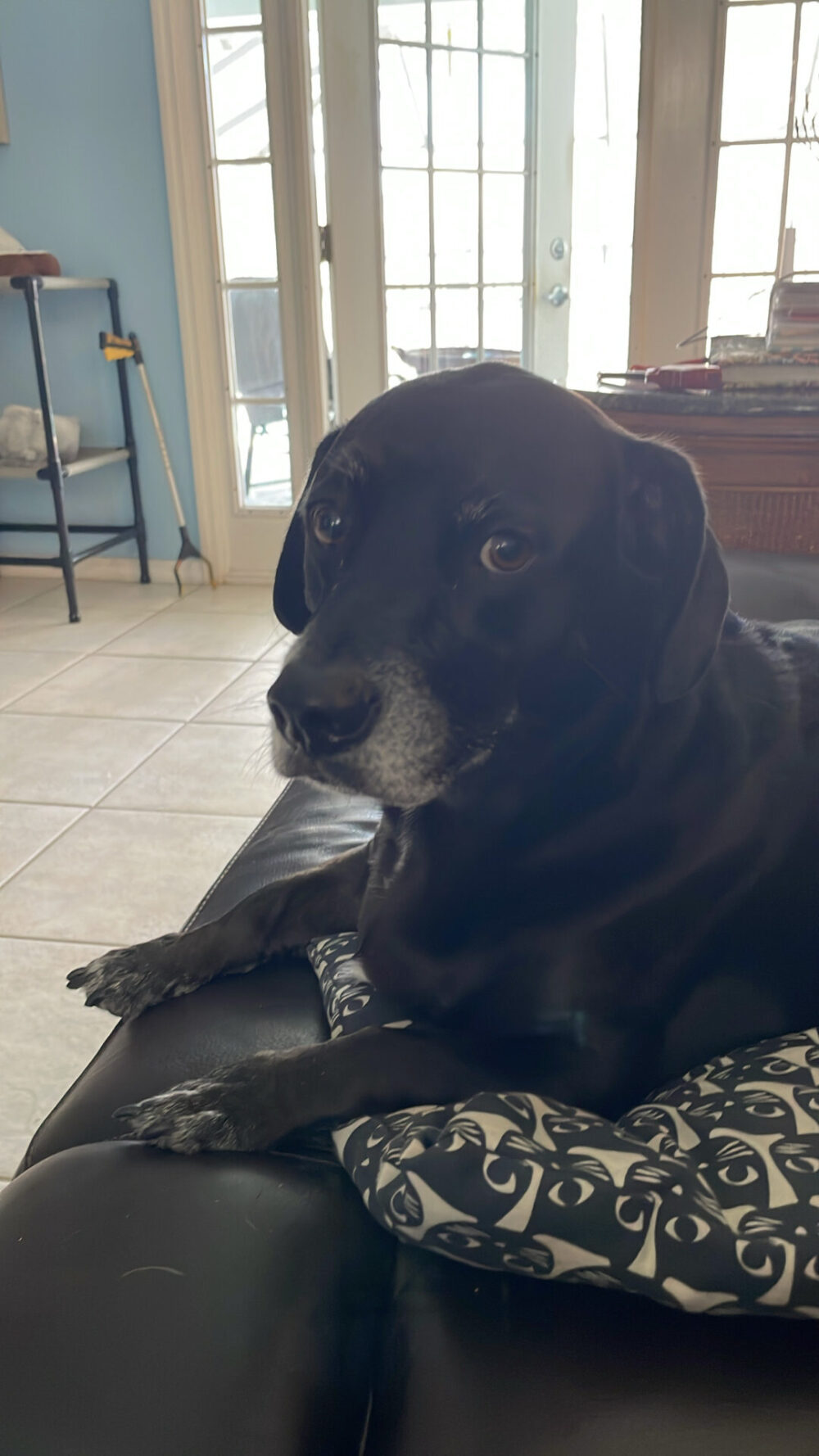 D514368A-4220-4E09-9491-F1CEDB827252