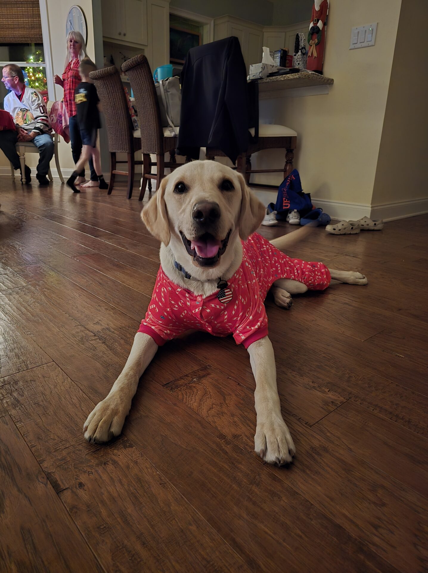 inbound845981525769898582